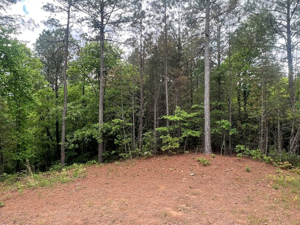 Lot 7 Skyline Drive, Turtletown TN 37391 - Photo