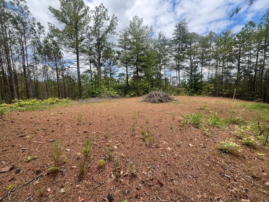 Lot 7 Skyline Drive, Turtletown TN 37391 - Photo