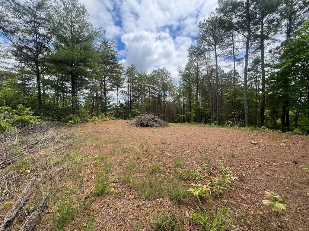 Lot 7 Skyline Drive, Turtletown TN 37391 - Photo