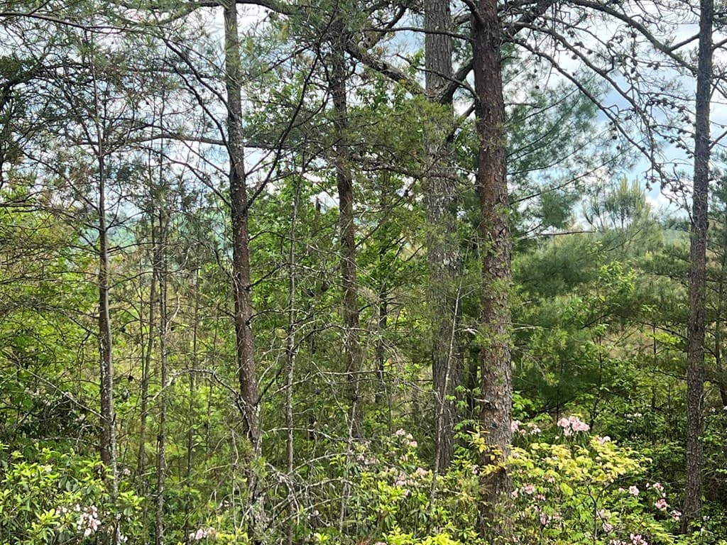 Lot 7 Skyline Drive, Turtletown TN 37391 - Photo