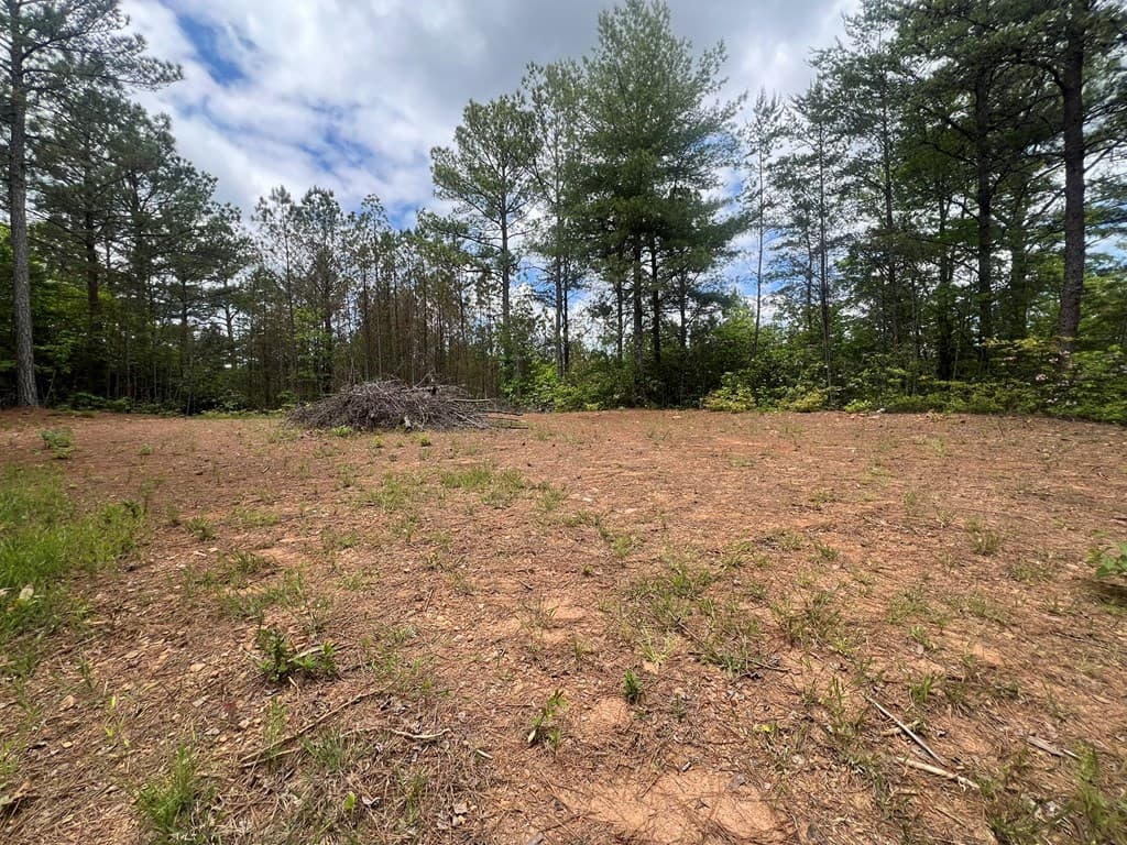 Lot 7 Skyline Drive, Turtletown TN 37391 - Photo