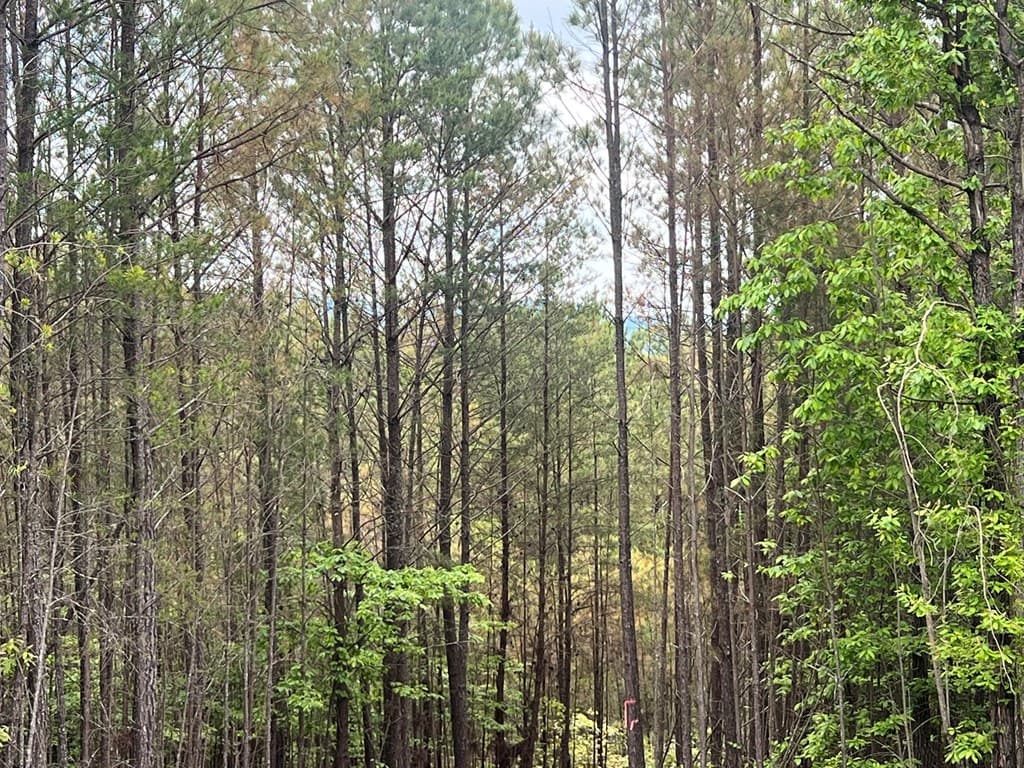 Lot 7 Skyline Drive, Turtletown TN 37391 - Photo
