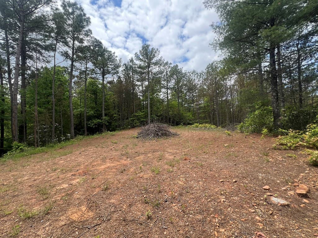 Lot 7 Skyline Drive, Turtletown TN 37391 - Photo