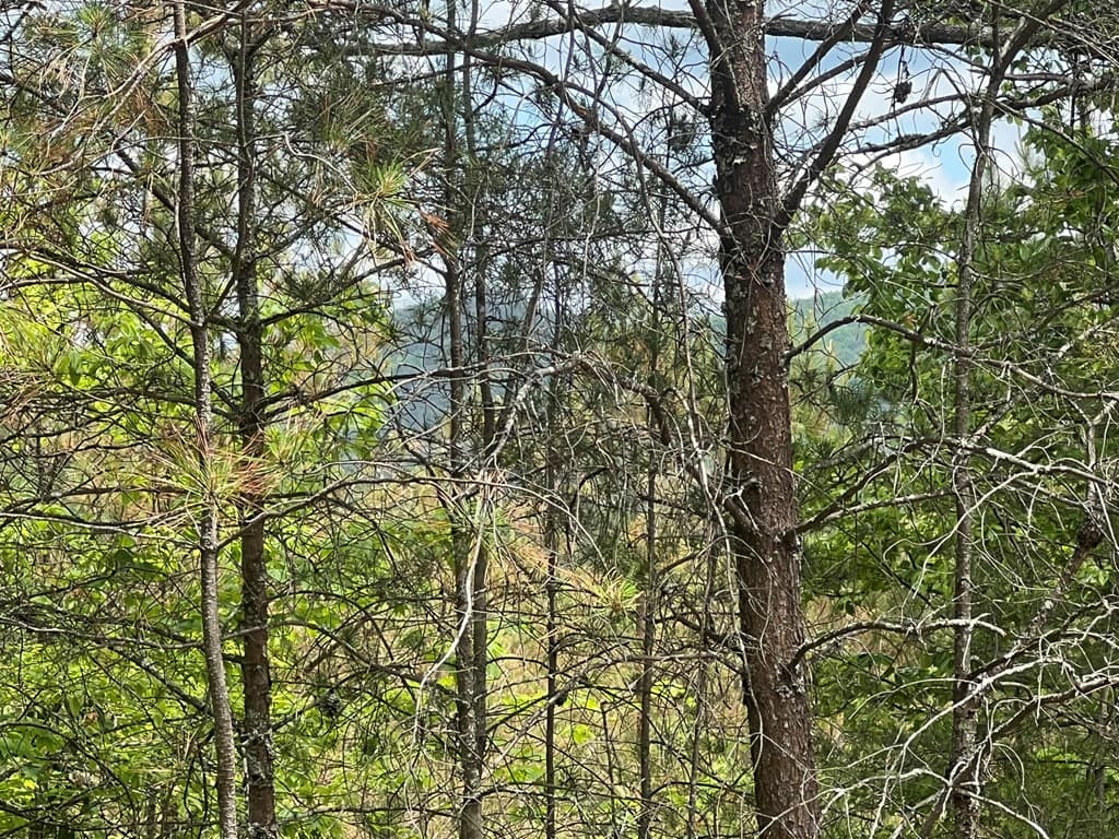 Lot 7 Skyline Drive, Turtletown TN 37391 - Photo