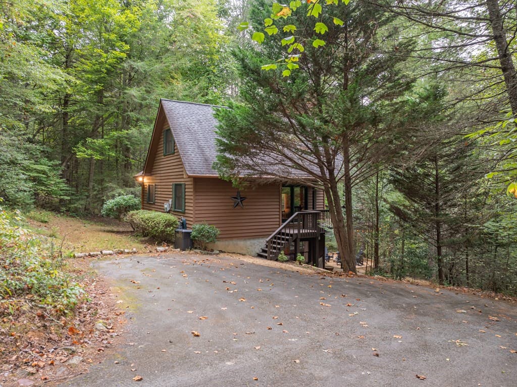 60 Icy Lane, Blue Ridge GA 30513 - Photo