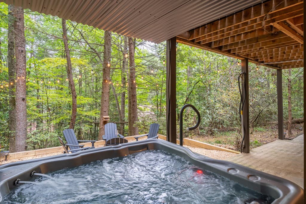 60 Icy Lane, Blue Ridge GA 30513 - Photo