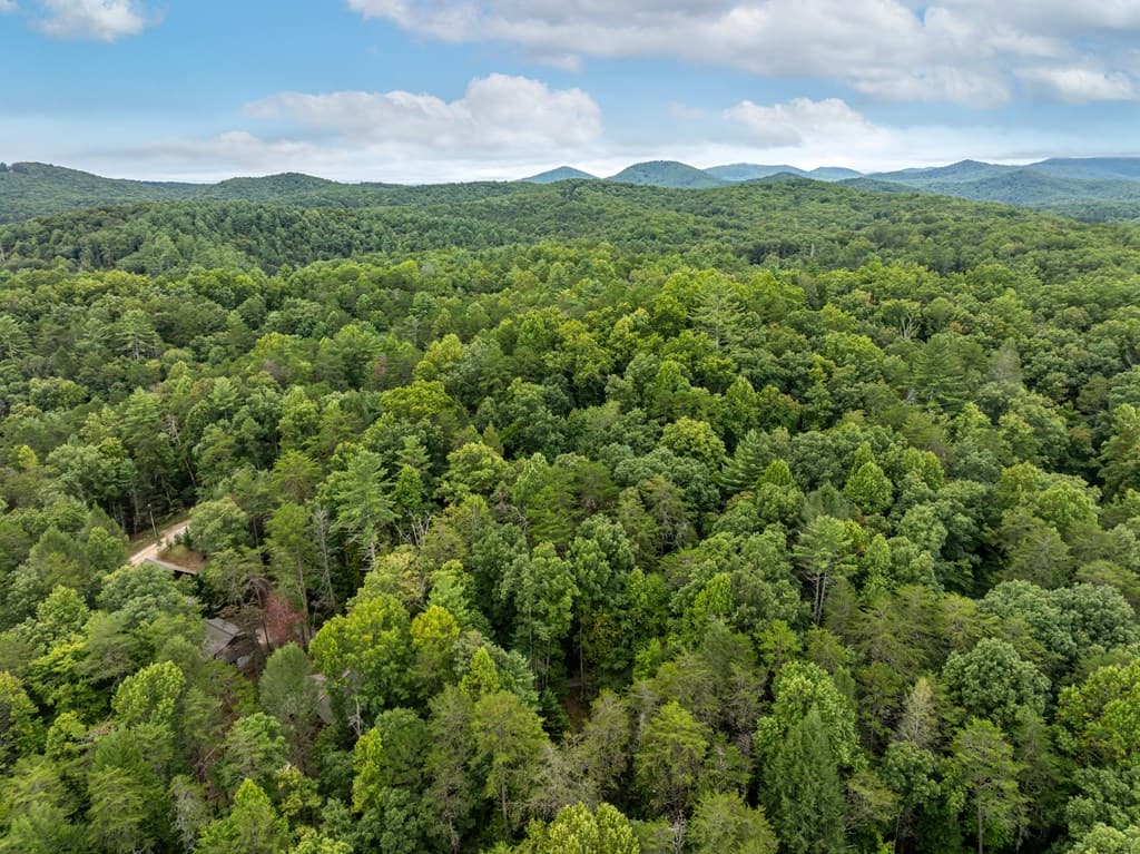 60 Icy Lane, Blue Ridge GA 30513 - Photo