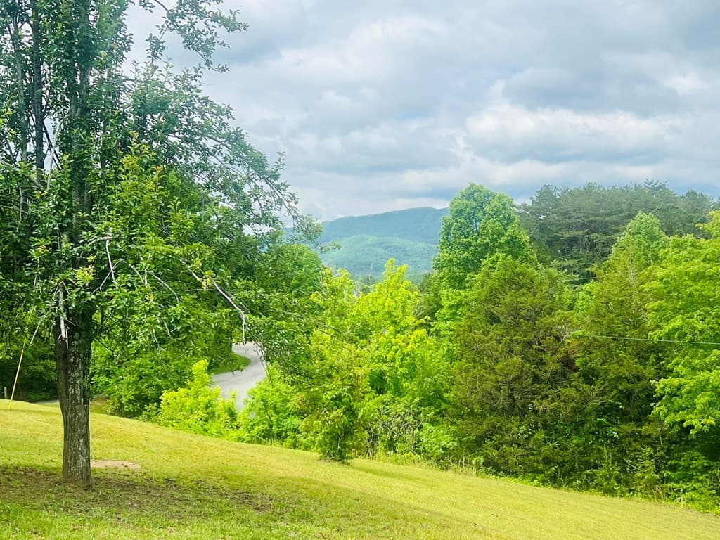 105 Lola Drive, Farner TN 37333 - Photo