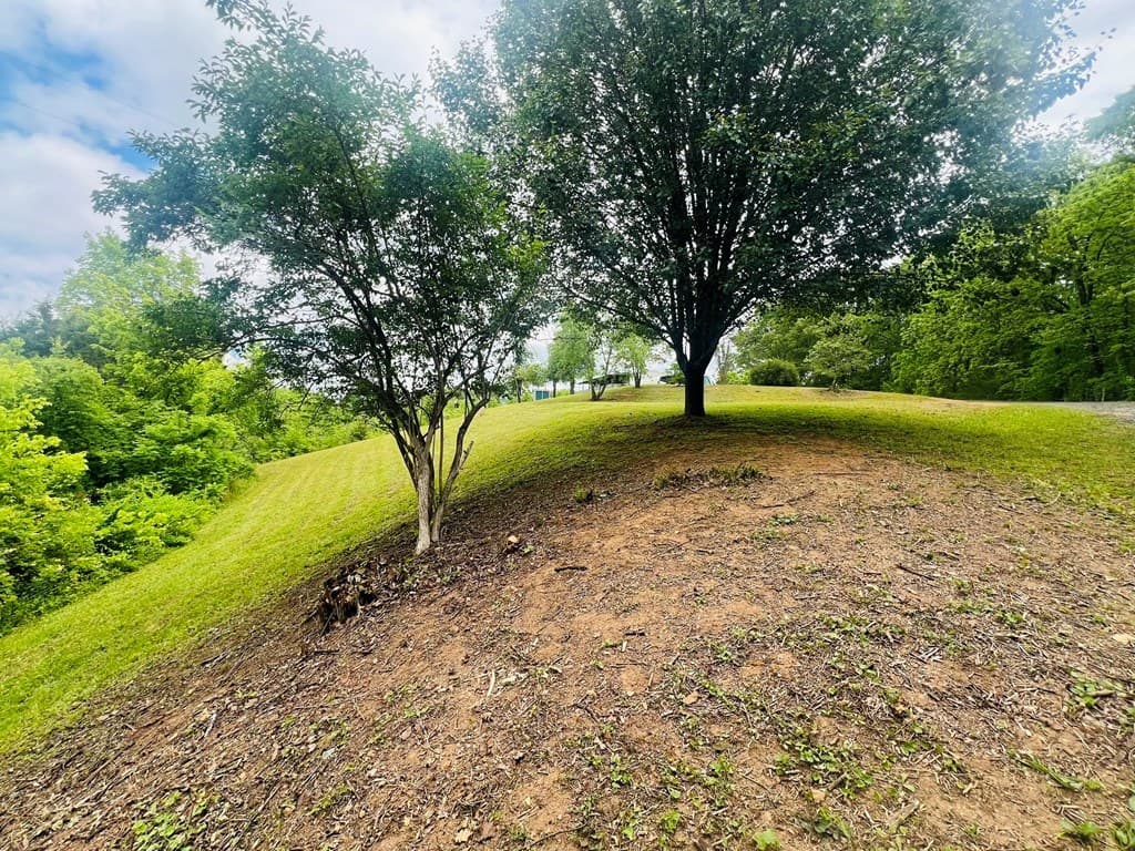 105 Lola Drive, Farner TN 37333 - Photo