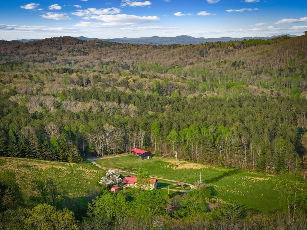 384 Maxwell Road, Blue Ridge GA 30513 - Photo