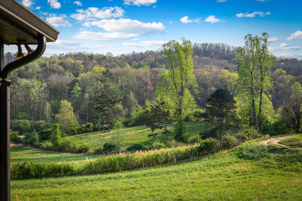 384 Maxwell Road, Blue Ridge GA 30513 - Photo