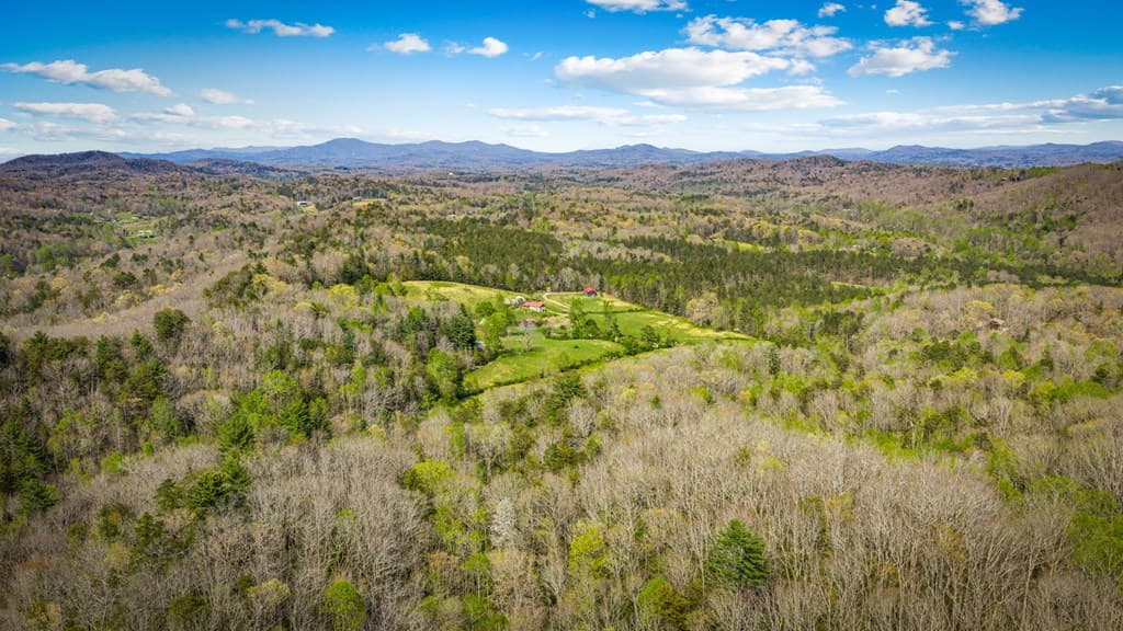 384 Maxwell Road, Blue Ridge GA 30513 - Photo