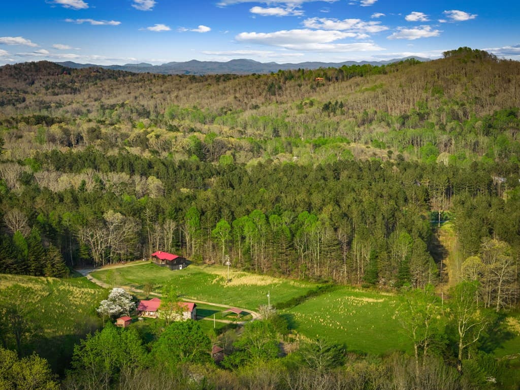 384 Maxwell Road, Blue Ridge GA 30513 - Photo