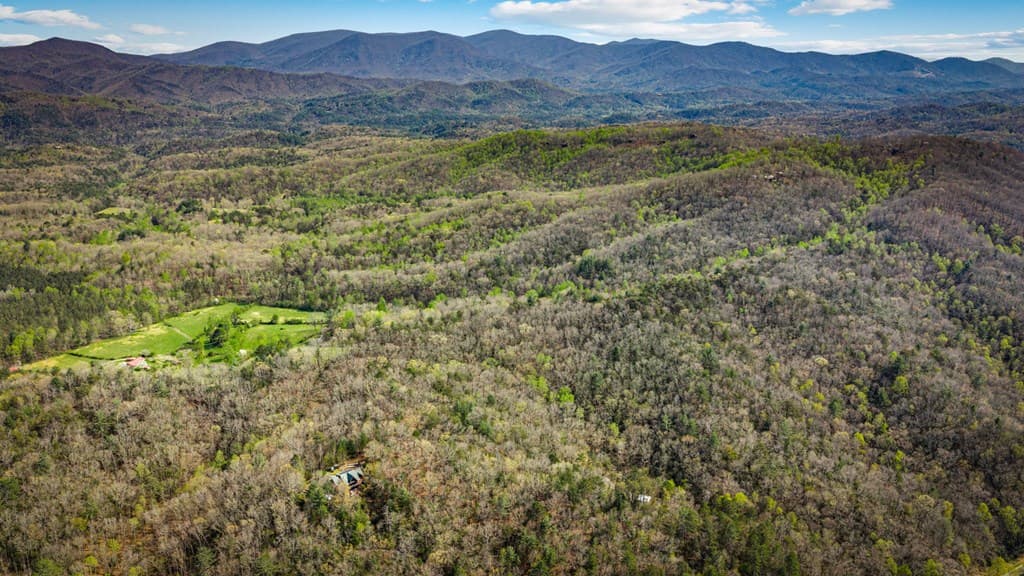 384 Maxwell Road, Blue Ridge GA 30513 - Photo