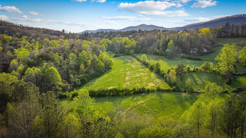 384 Maxwell Road, Blue Ridge GA 30513 - Photo