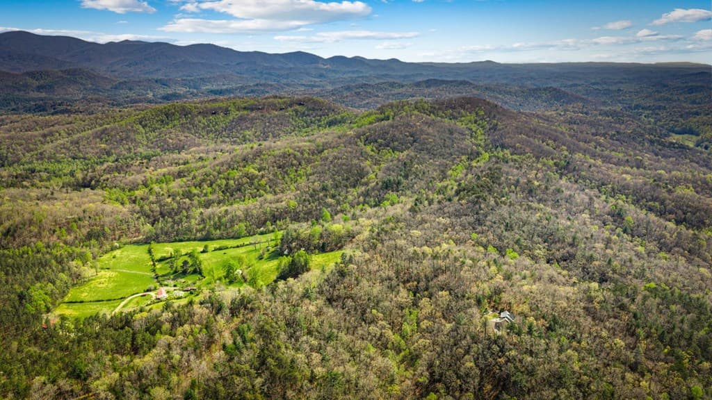 384 Maxwell Road, Blue Ridge GA 30513 - Photo