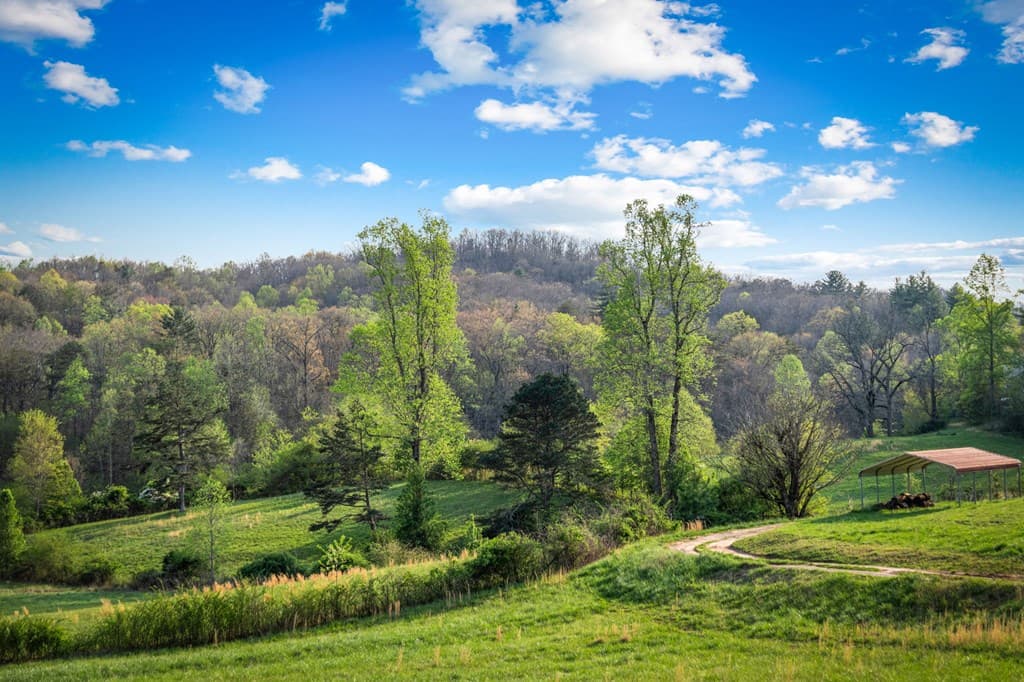 384 Maxwell Road, Blue Ridge GA 30513 - Photo