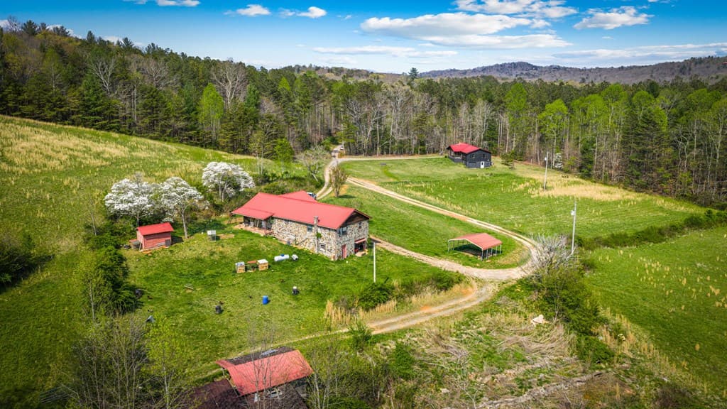 384 Maxwell Road, Blue Ridge GA 30513 - Photo