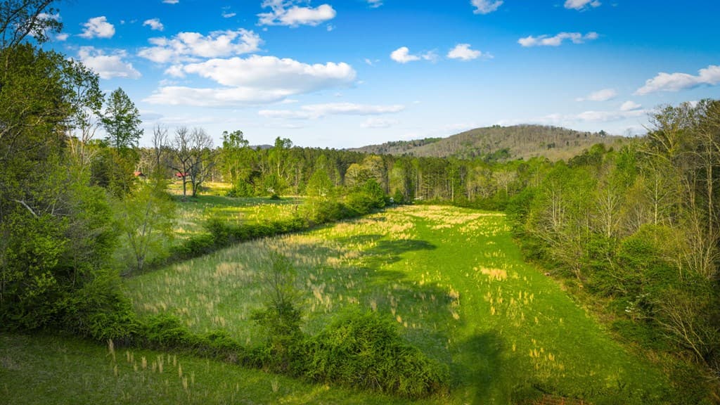 384 Maxwell Road, Blue Ridge GA 30513 - Photo