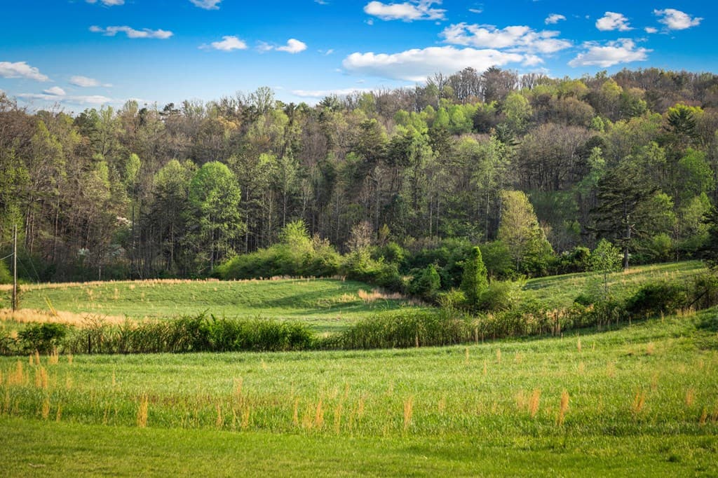 384 Maxwell Road, Blue Ridge GA 30513 - Photo
