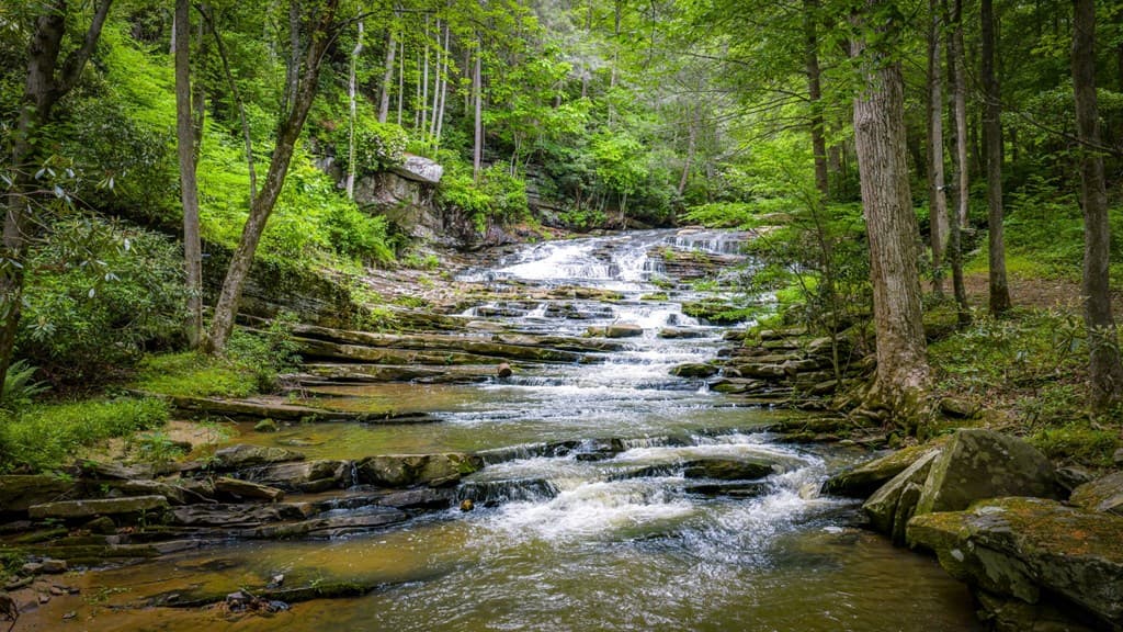 4396 W Hwy 382, Ellijay GA 30540 - Photo