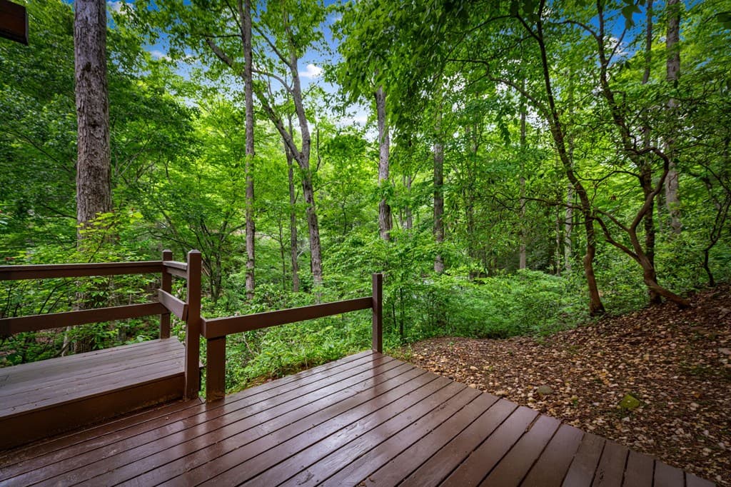 4396 W Hwy 382, Ellijay GA 30540 - Photo