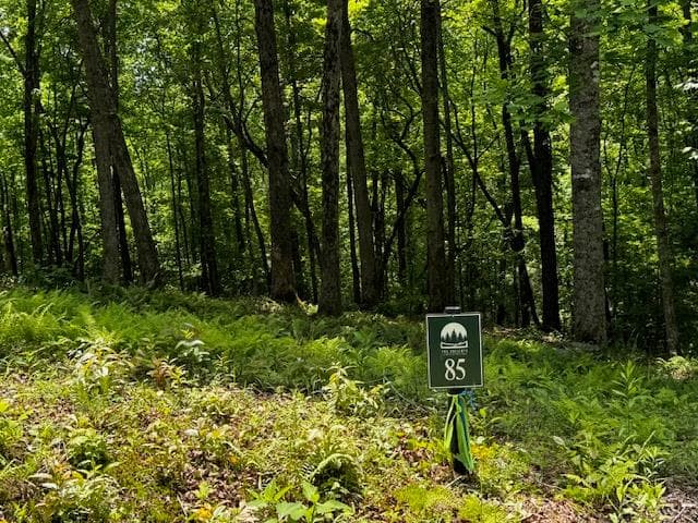 85 Cedar Road, Ellijay GA 30540 - Photo