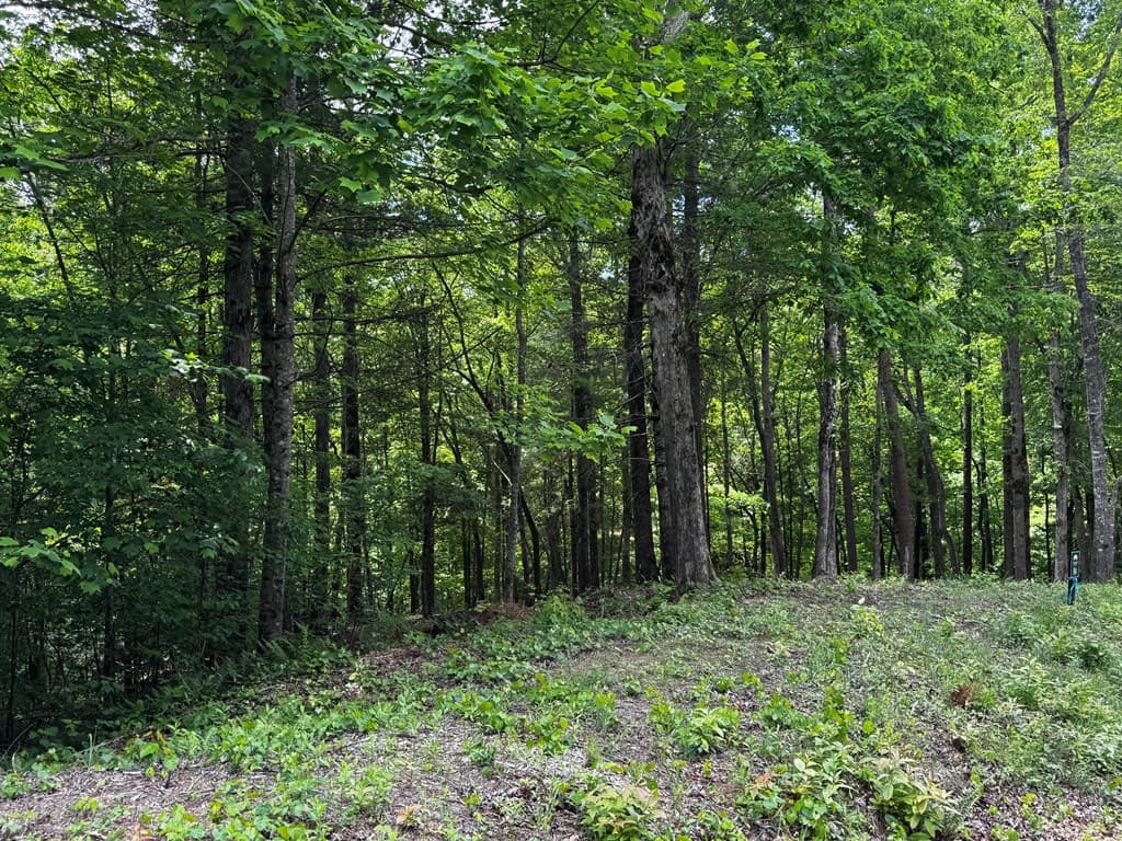 85 Cedar Road, Ellijay GA 30540 - Photo