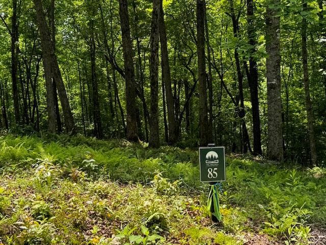 85 Cedar Road, Ellijay GA 30540 - Primary photo
