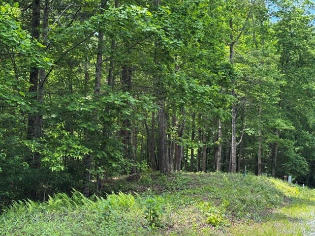 85 Cedar Road, Ellijay GA 30540 - Photo