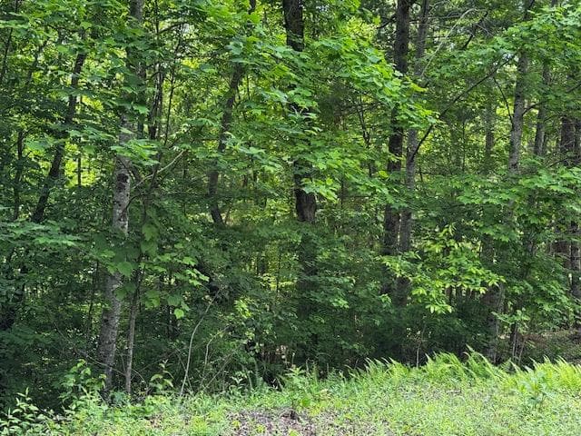 85 Cedar Road, Ellijay GA 30540 - Photo