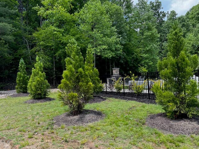 85 Cedar Road, Ellijay GA 30540 - Photo
