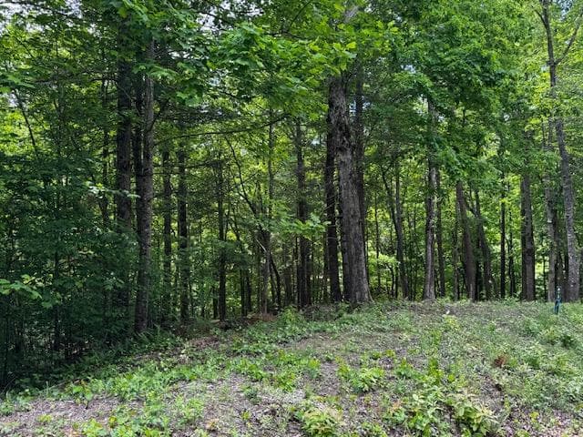 85 Cedar Road, Ellijay GA 30540 - Photo