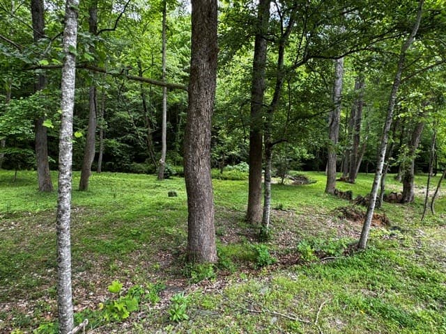 84 Cedar Road, Ellijay GA 30540 - Photo