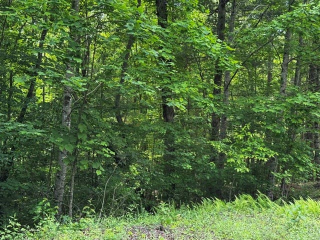 84 Cedar Road, Ellijay GA 30540 - Photo