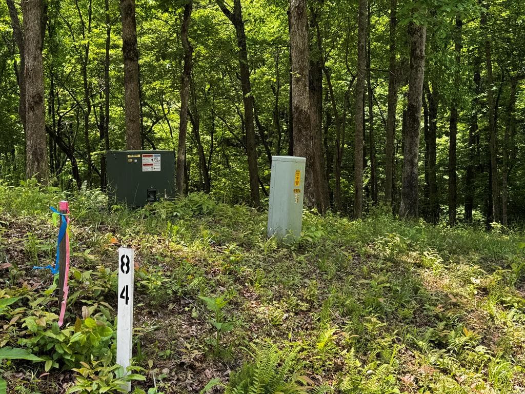 84 Cedar Road, Ellijay GA 30540 - Primary photo