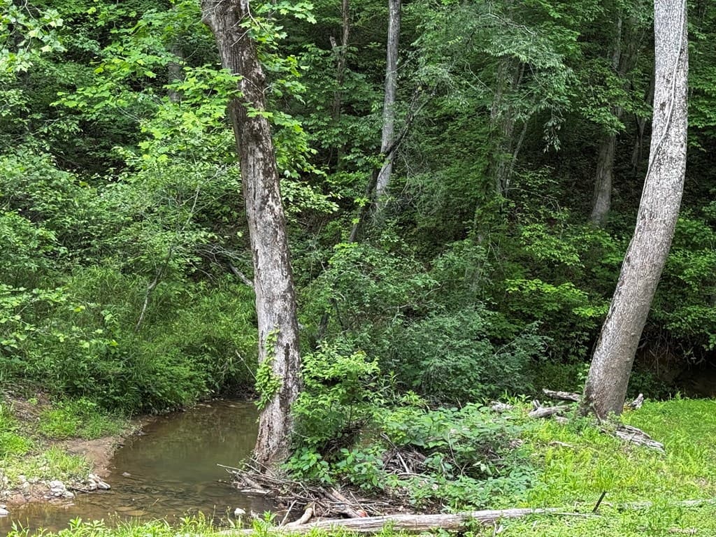 84 Cedar Road, Ellijay GA 30540 - Photo
