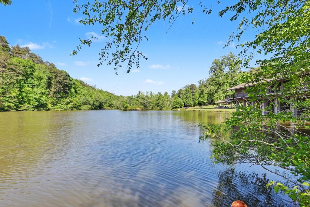 519 Pinecrest Road, Sautee Nacoochee GA 30571 - Photo