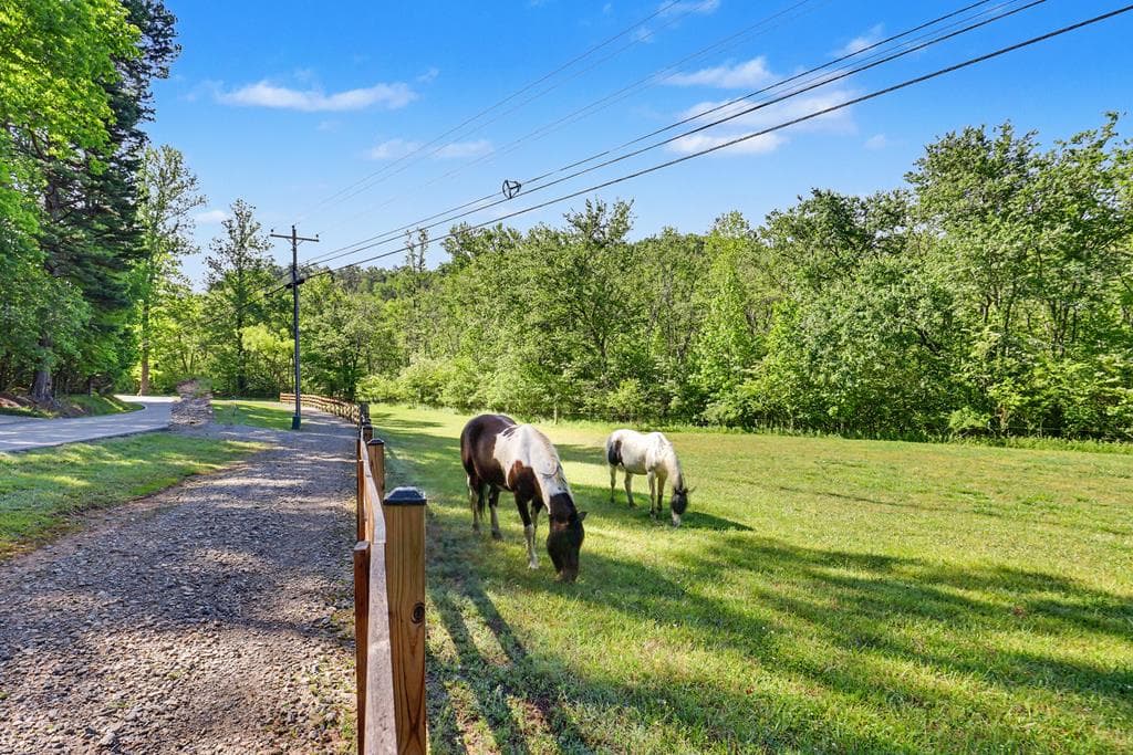 519 Pinecrest Road, Sautee Nacoochee GA 30571 - Photo