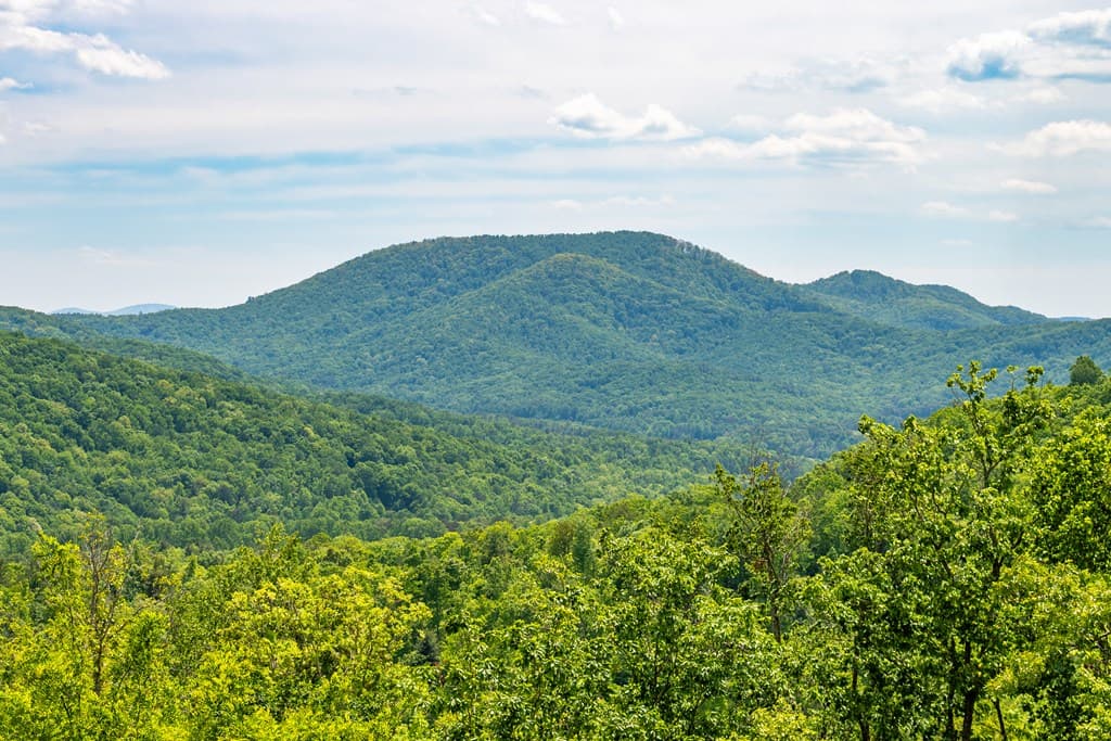 93 Stanley Ridge Drive, Morganton GA 30560 - Photo