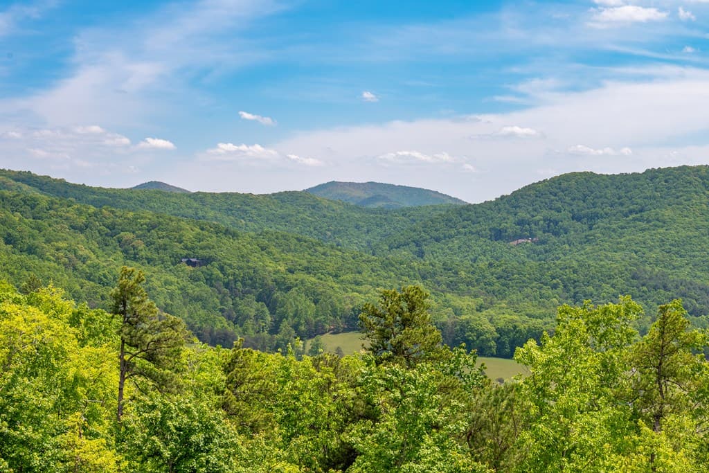 93 Stanley Ridge Drive, Morganton GA 30560 - Photo
