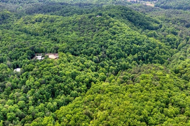 28.4 AC Black Dog Trail, Blue Ridge GA 30513 - Photo