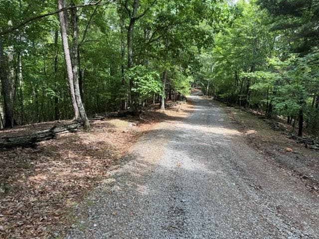 28.4 AC Black Dog Trail, Blue Ridge GA 30513 - Primary photo