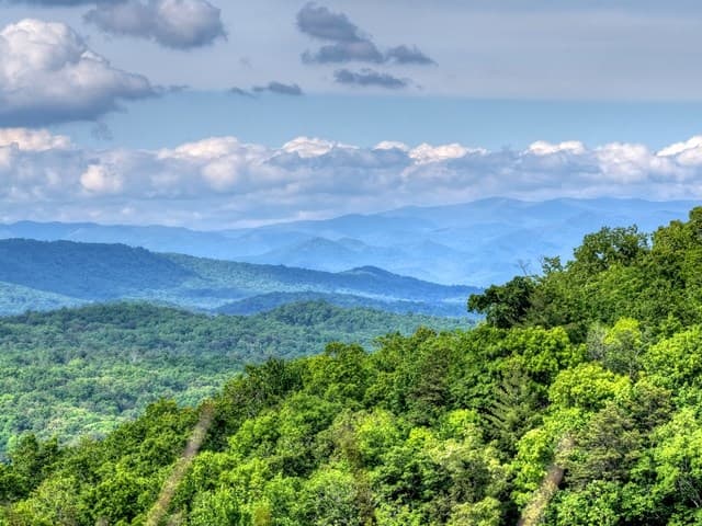 28.4 AC Black Dog Trail, Blue Ridge GA 30513 - Photo