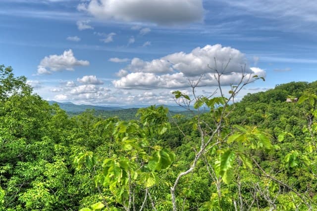 28.4 AC Black Dog Trail, Blue Ridge GA 30513 - Photo