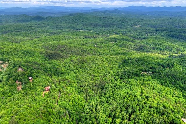 28.4 AC Black Dog Trail, Blue Ridge GA 30513 - Photo