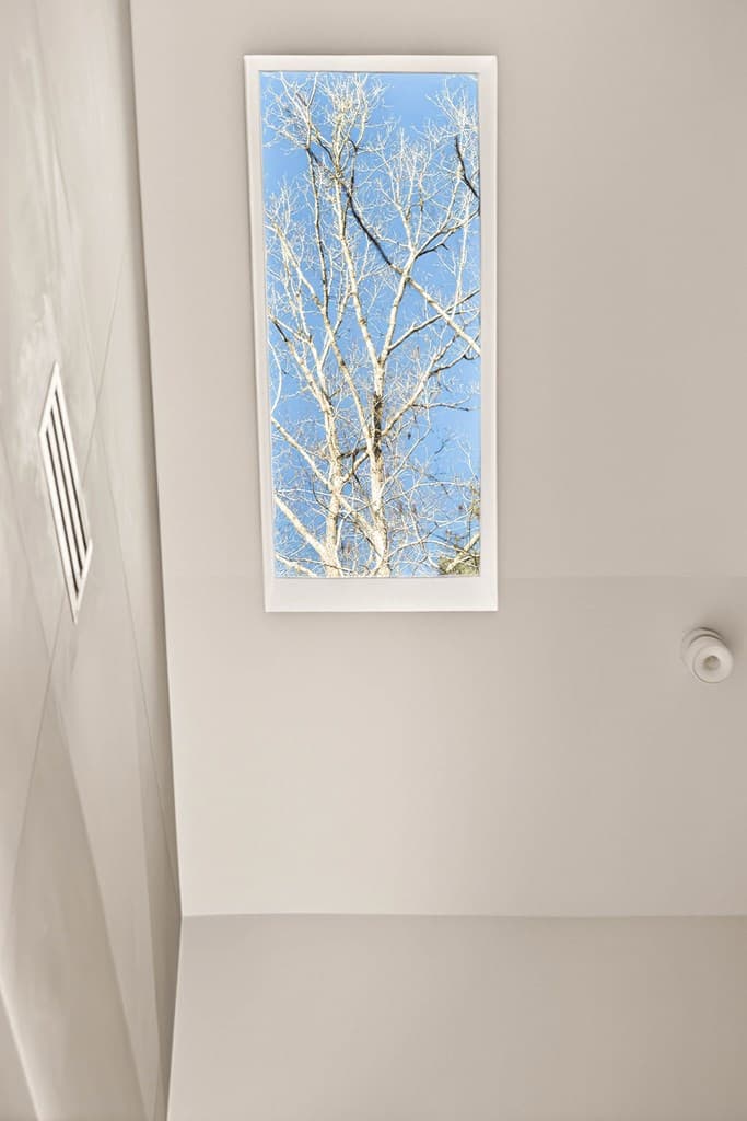 160 Black Ankle Drive, Cherry Log GA 30522 - Photo