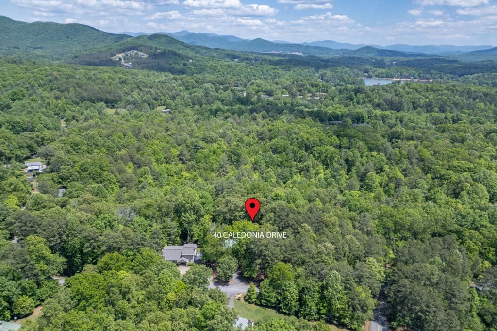 40 Caledonia Drive, Blairsville GA 30512 - Photo