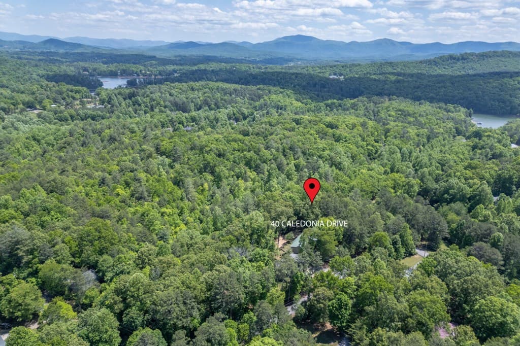 40 Caledonia Drive, Blairsville GA 30512 - Photo