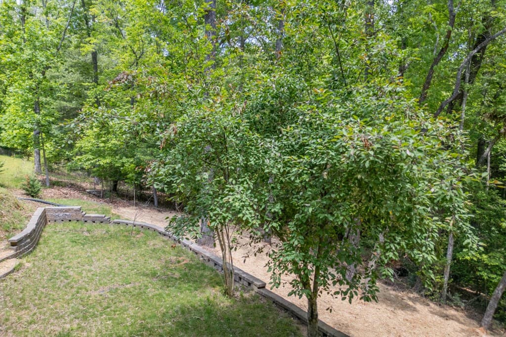 40 Caledonia Drive, Blairsville GA 30512 - Photo